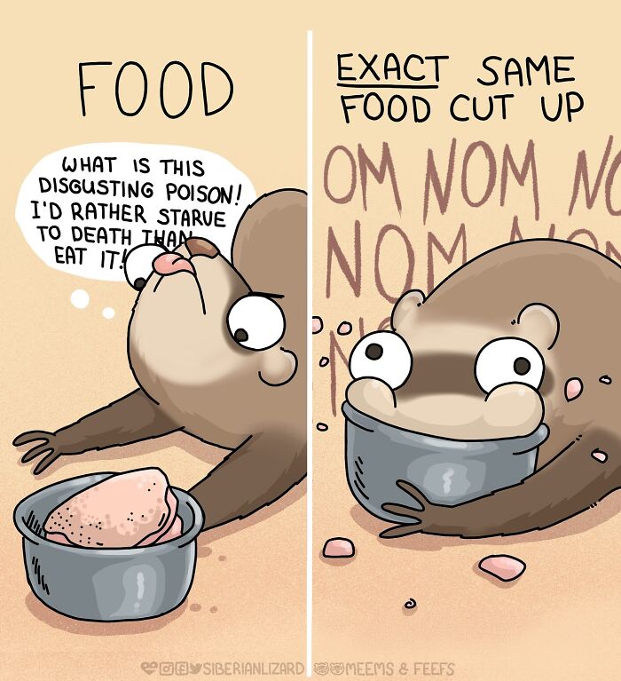 Siberian Girl Illustrates Her Daily Life With Two Ferrets And Other Funny Situations (50 New Pics)