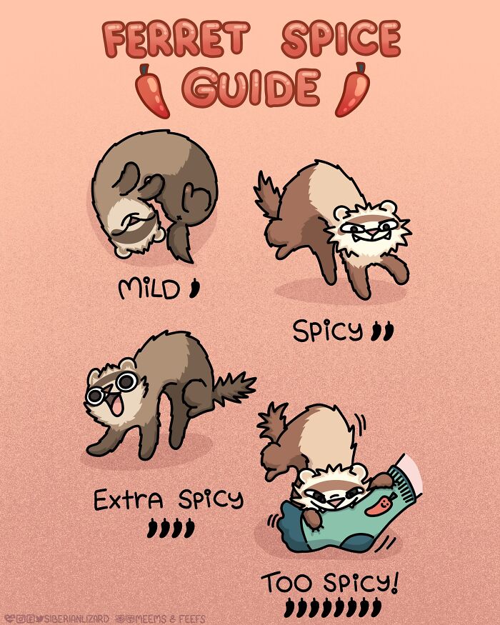 Siberian Girl Illustrates Her Daily Life With Two Ferrets And Other Funny Situations (50 New Pics)