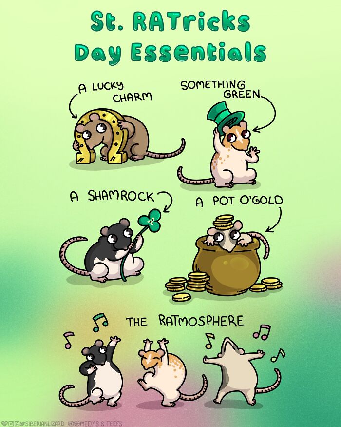 Siberian Girl Illustrates Her Daily Life With Two Ferrets And Other Funny Situations (50 New Pics)
