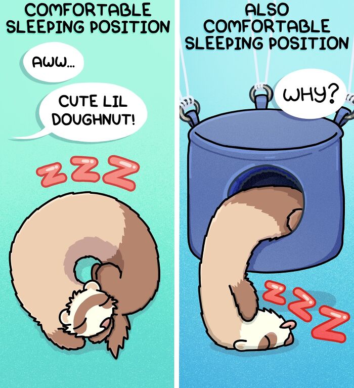 Siberian Girl Illustrates Her Daily Life With Two Ferrets And Other Funny Situations (50 New Pics)