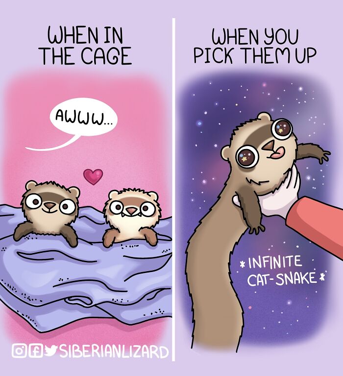 Siberian Girl Illustrates Her Daily Life With Two Ferrets And Other Funny Situations (50 New Pics)