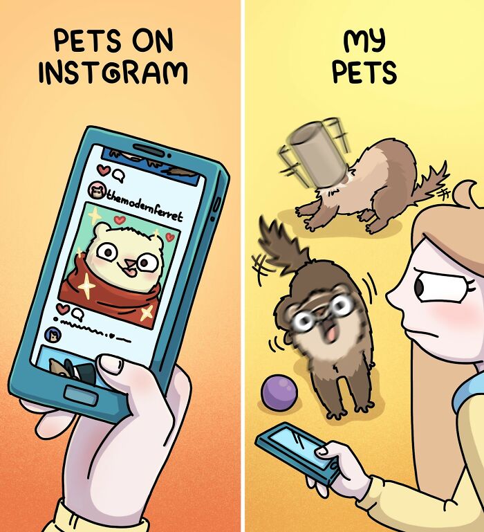 Siberian Girl Illustrates Her Daily Life With Two Ferrets And Other Funny Situations (50 New Pics)