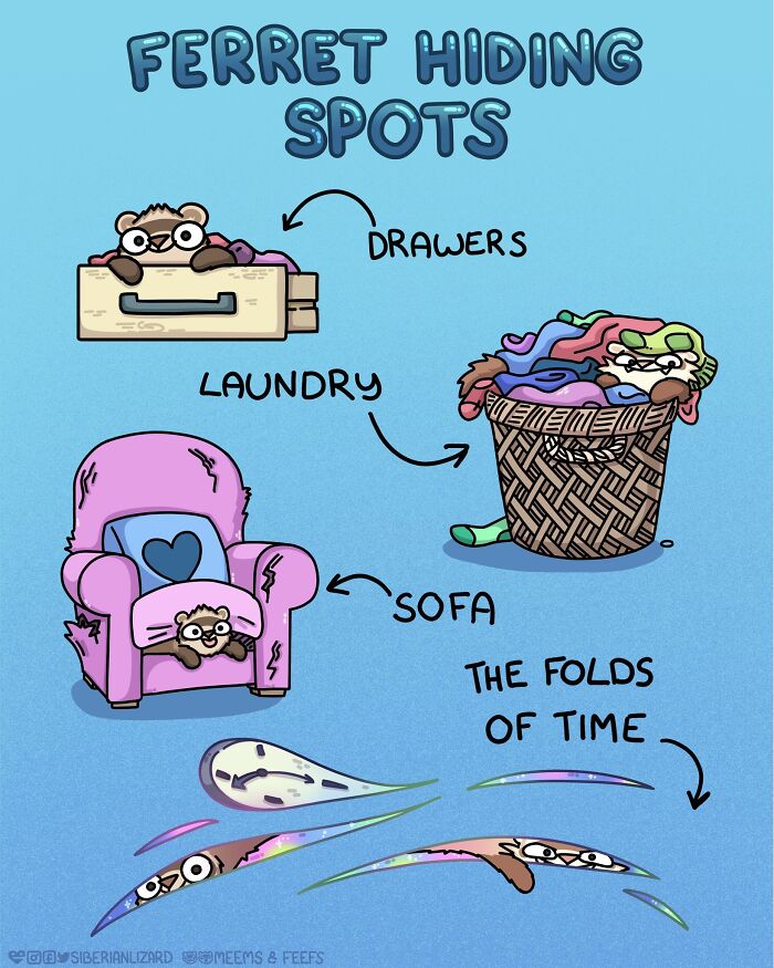 Siberian Girl Illustrates Her Daily Life With Two Ferrets And Other Funny Situations (50 New Pics)
