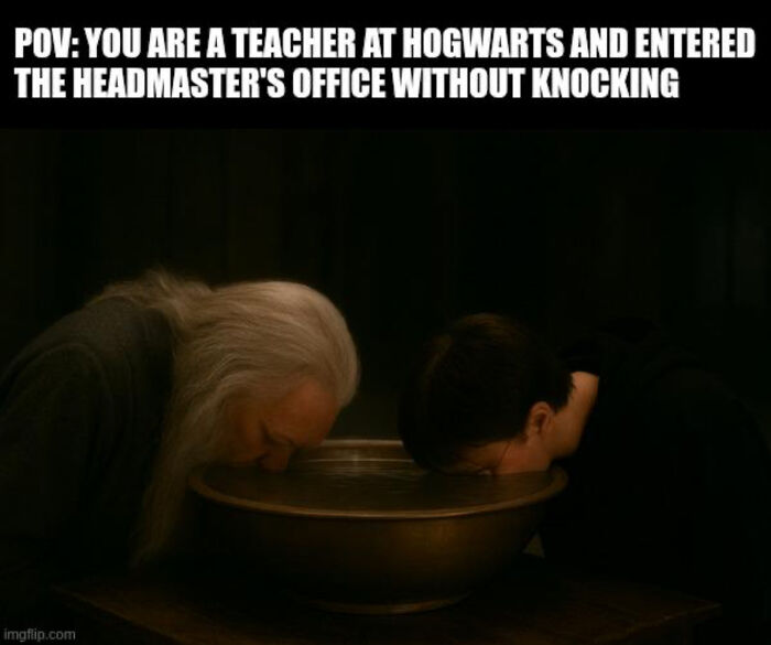 You Don’t Have To Be A Wizard To Laugh At These 38 Harry Potter Memes (New Pics)