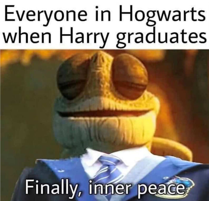 You Don’t Have To Be A Wizard To Laugh At These 38 Harry Potter Memes (New Pics)