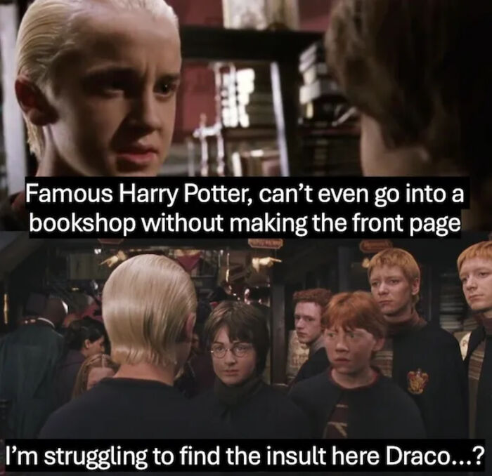 You Don’t Have To Be A Wizard To Laugh At These 38 Harry Potter Memes (New Pics)