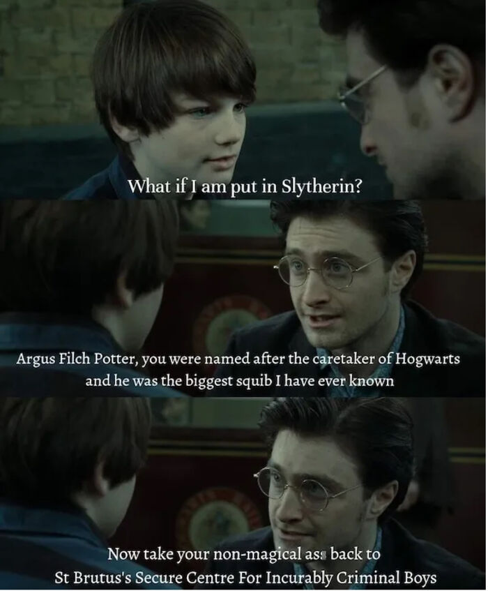 You Don’t Have To Be A Wizard To Laugh At These 38 Harry Potter Memes (New Pics)