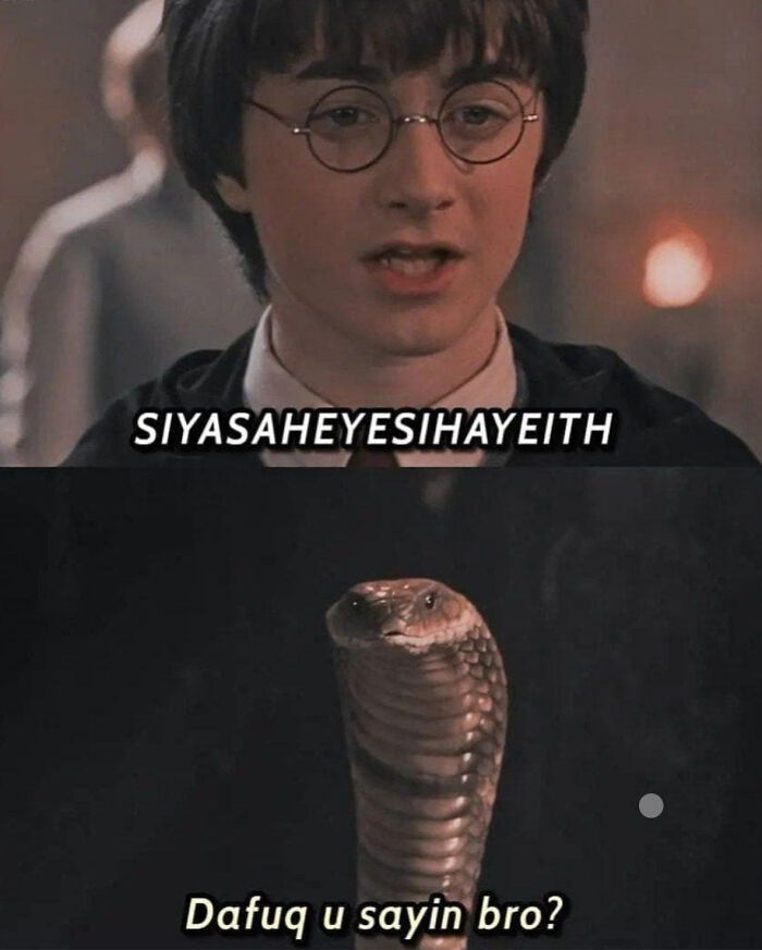 You Don’t Have To Be A Wizard To Laugh At These 38 Harry Potter Memes (New Pics)