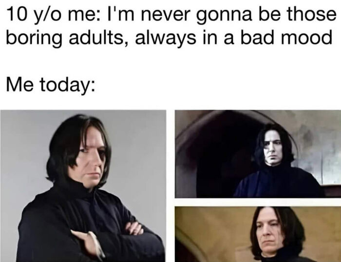 You Don’t Have To Be A Wizard To Laugh At These 38 Harry Potter Memes (New Pics)