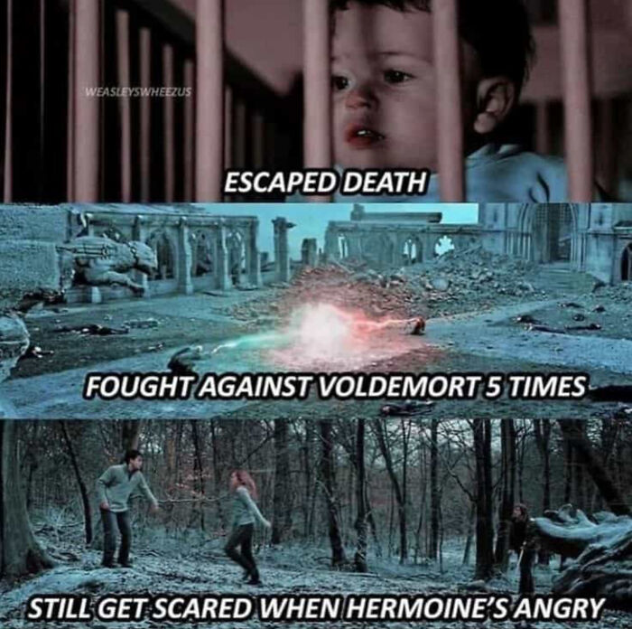 You Don’t Have To Be A Wizard To Laugh At These 38 Harry Potter Memes (New Pics)