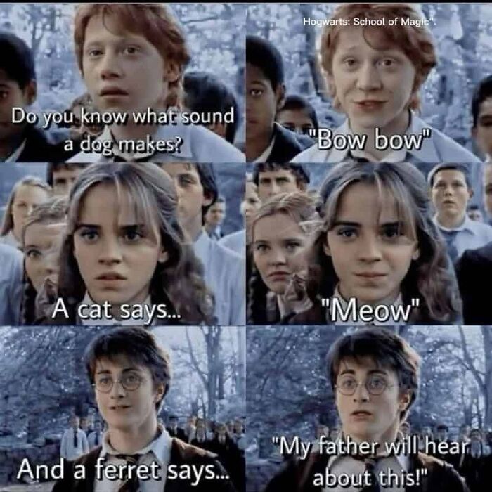 You Don’t Have To Be A Wizard To Laugh At These 38 Harry Potter Memes (New Pics)