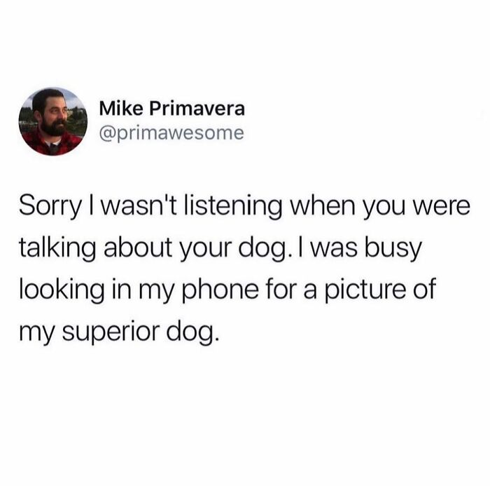 118 Times People Hilariously Spoke Their Truth And Won The Internet (New Pics)