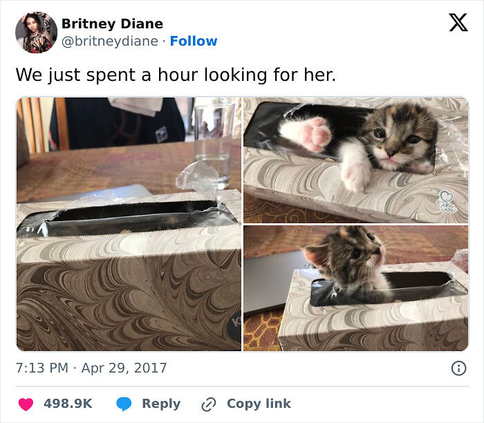 79 Pets Who Tried Hiding From Their Owners But Did A Ridiculously Bad Job (New Pics)