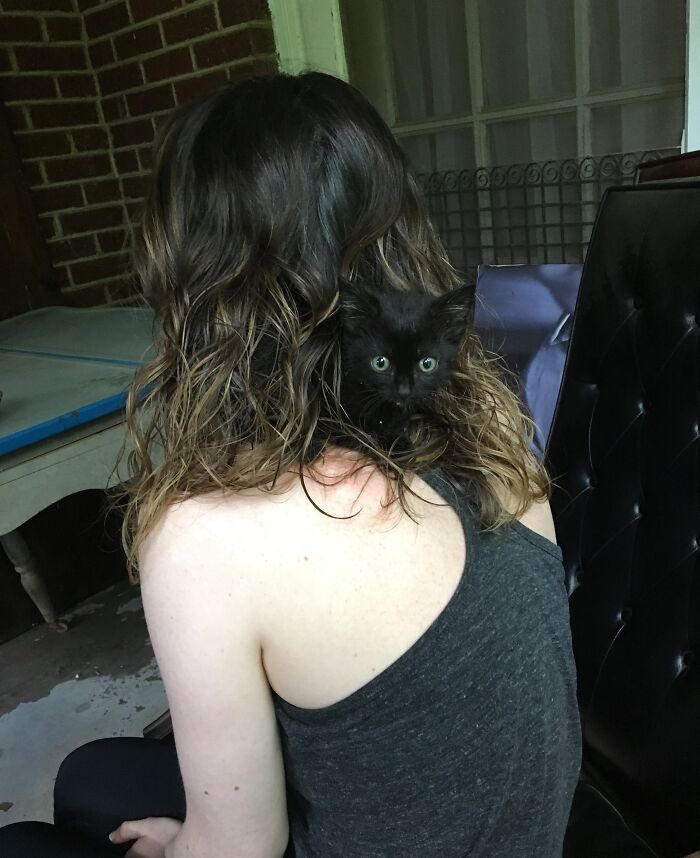 79 Pets Who Tried Hiding From Their Owners But Did A Ridiculously Bad Job (New Pics)