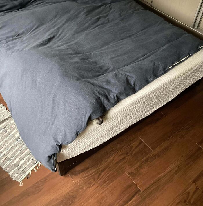79 Pets Who Tried Hiding From Their Owners But Did A Ridiculously Bad Job (New Pics)