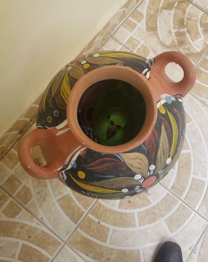 79 Pets Who Tried Hiding From Their Owners But Did A Ridiculously Bad Job (New Pics)