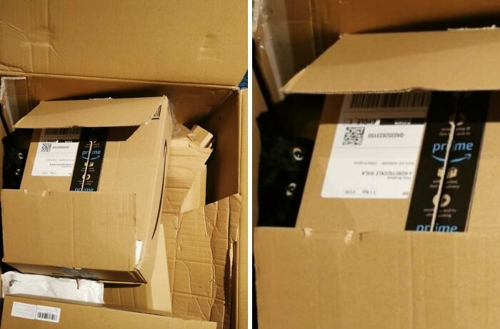 79 Pets Who Tried Hiding From Their Owners But Did A Ridiculously Bad Job (New Pics)