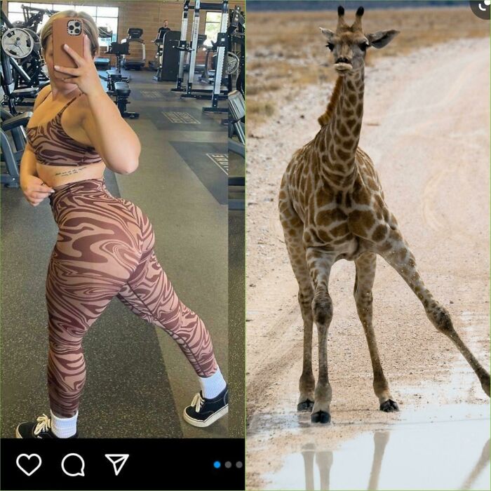 &#8220;Take Your Baby To The Gym&#8221;: 75 Unhinged Fitness Influencers That Lost The Plot