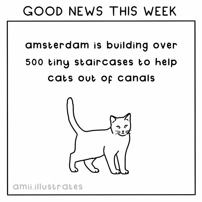Tired Of Bad News? Here Are 58 Positive Things That Happened In The World This Year
