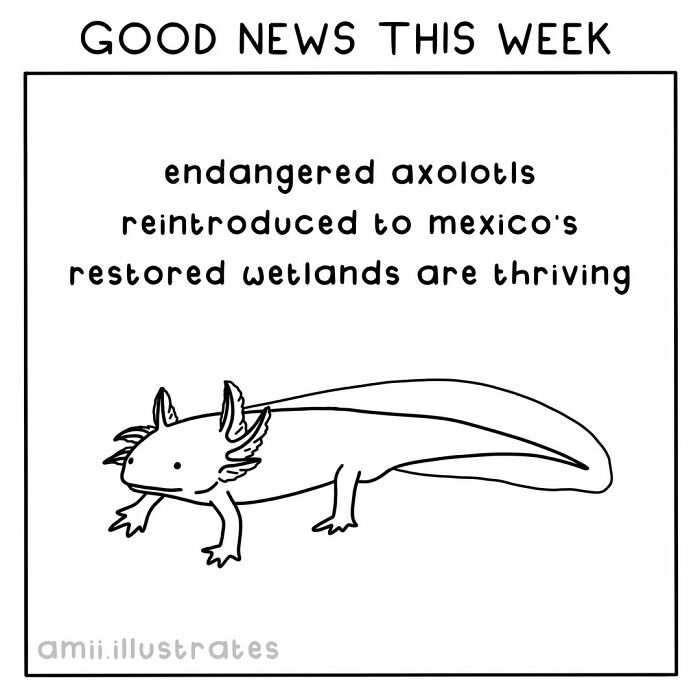 Tired Of Bad News? Here Are 58 Positive Things That Happened In The World This Year
