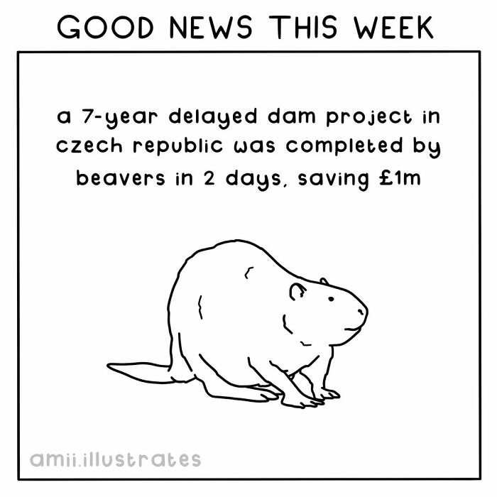 Tired Of Bad News? Here Are 58 Positive Things That Happened In The World This Year