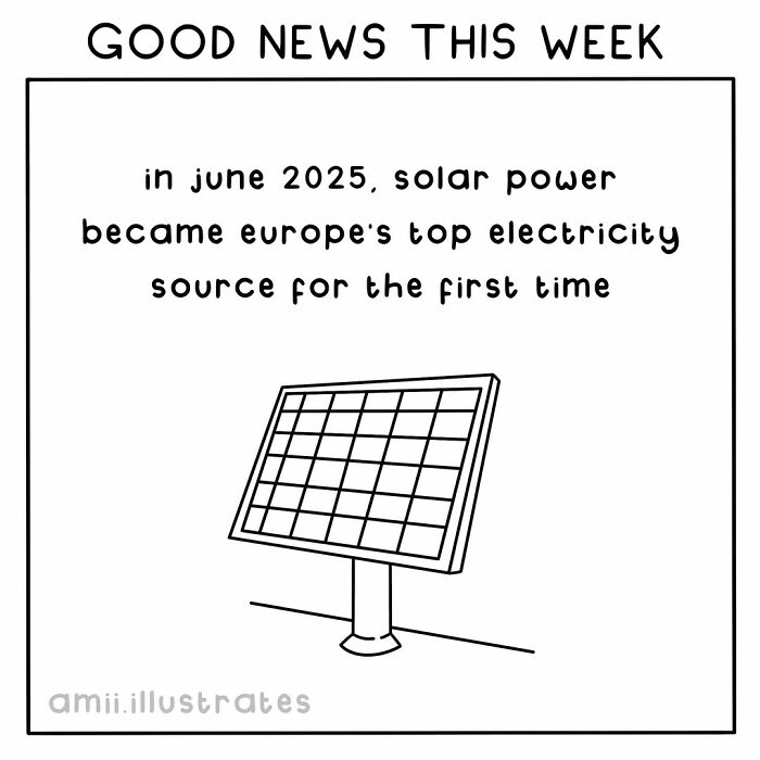 Tired Of Bad News? Here Are 58 Positive Things That Happened In The World This Year