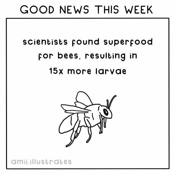 Tired Of Bad News? Here Are 58 Positive Things That Happened In The World This Year