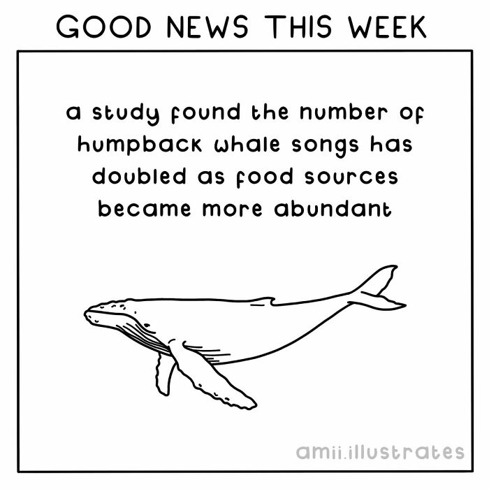 Tired Of Bad News? Here Are 58 Positive Things That Happened In The World This Year