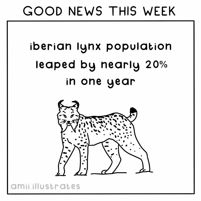 Tired Of Bad News? Here Are 58 Positive Things That Happened In The World This Year