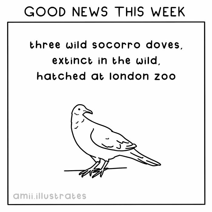 Tired Of Bad News? Here Are 58 Positive Things That Happened In The World This Year