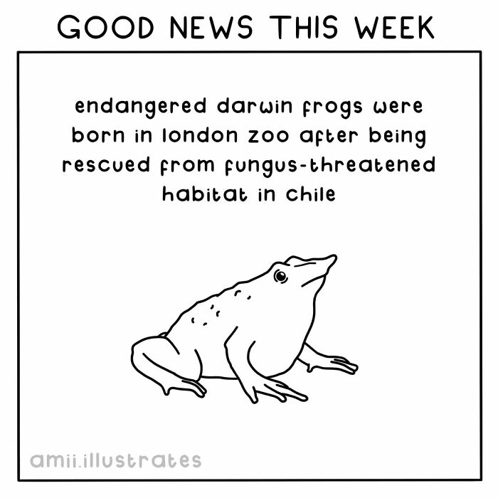 Tired Of Bad News? Here Are 58 Positive Things That Happened In The World This Year