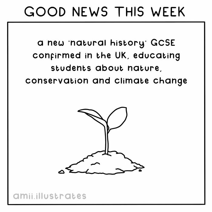 Tired Of Bad News? Here Are 58 Positive Things That Happened In The World This Year