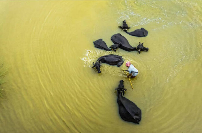 50 Photos By Navin Kumar Vatsa That Bring India’s Streets To Life