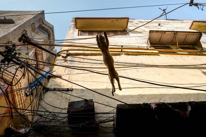 50 Photos By Navin Kumar Vatsa That Bring India’s Streets To Life