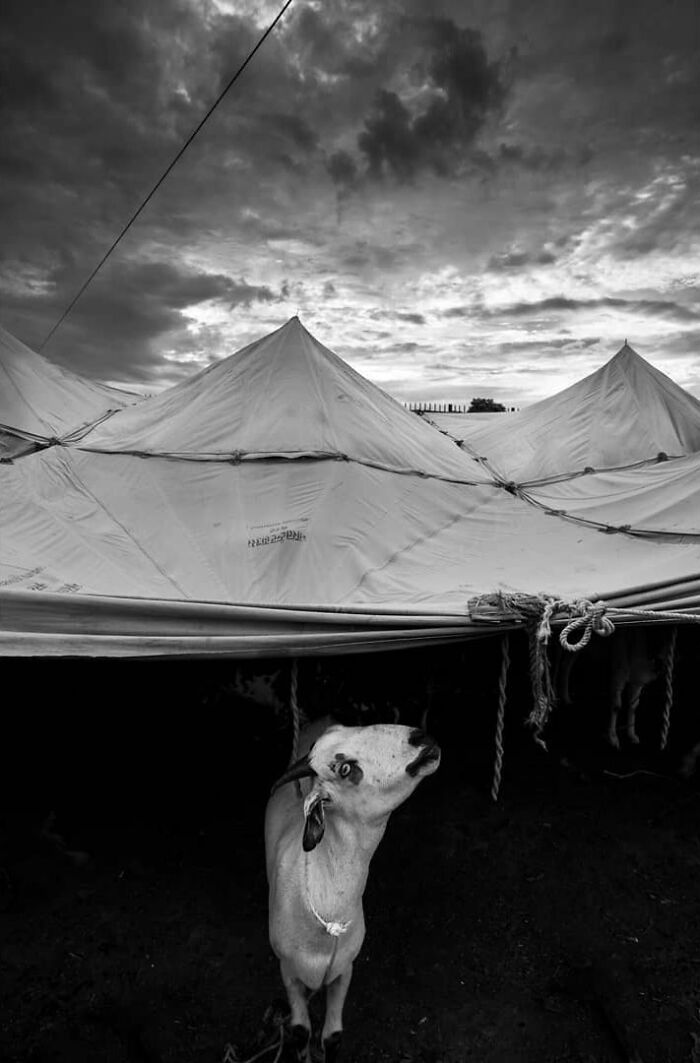 50 Photos By Navin Kumar Vatsa That Bring India’s Streets To Life