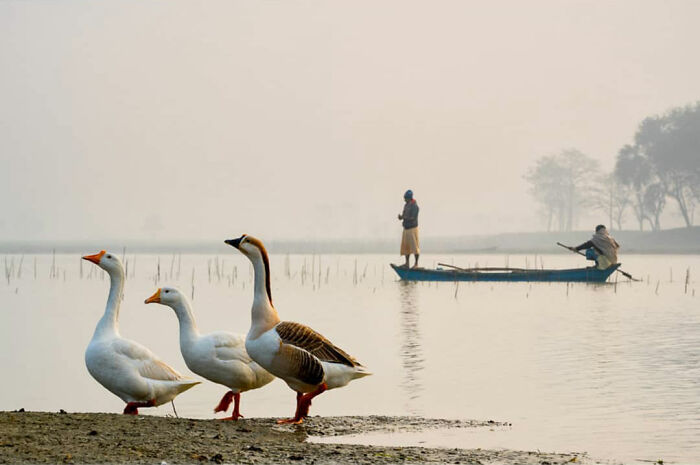 50 Photos By Navin Kumar Vatsa That Bring India’s Streets To Life