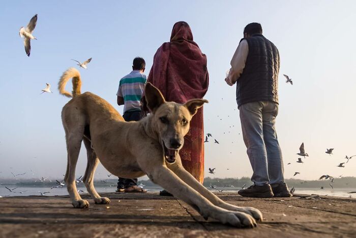 50 Photos By Navin Kumar Vatsa That Bring India’s Streets To Life
