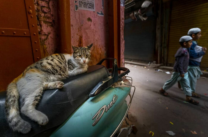50 Photos By Navin Kumar Vatsa That Bring India’s Streets To Life