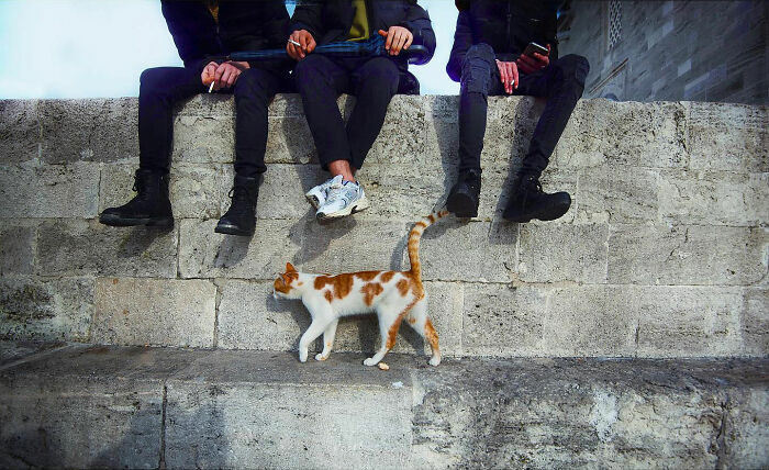 64 Beautifully Candid Photos Showing Life On The Streets Of Istanbul