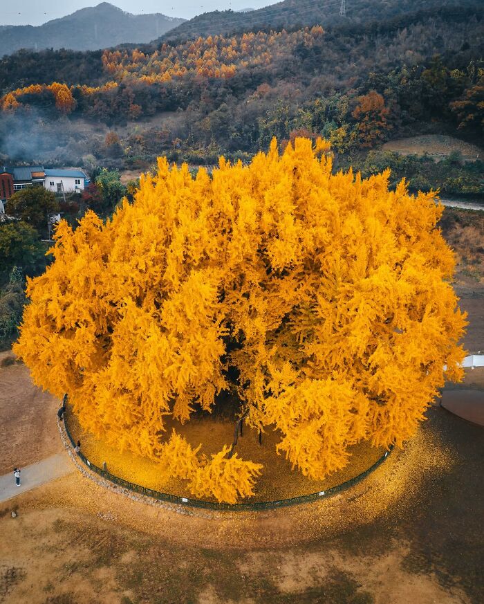 Japanese Photographer Captures Glimpses Of Life And Nature In Different Asian Countries (50 New Pics)