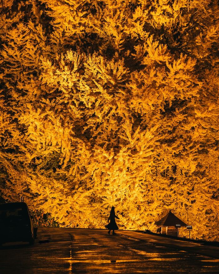 Japanese Photographer Captures Glimpses Of Life And Nature In Different Asian Countries (50 New Pics)