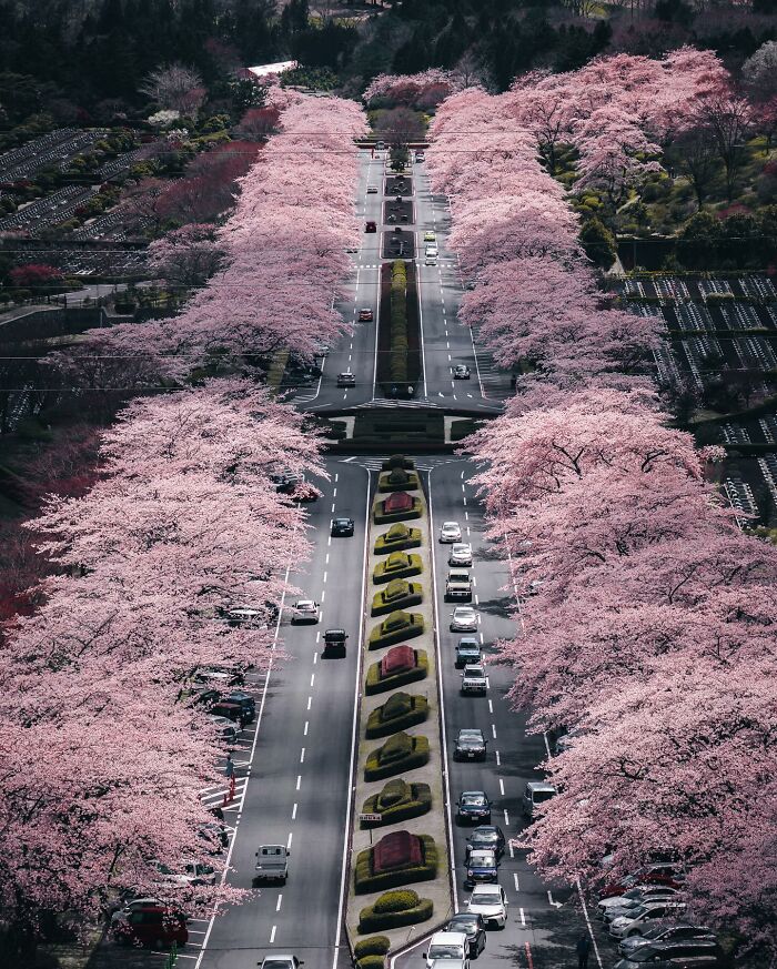 Japanese Photographer Captures Glimpses Of Life And Nature In Different Asian Countries (50 New Pics)