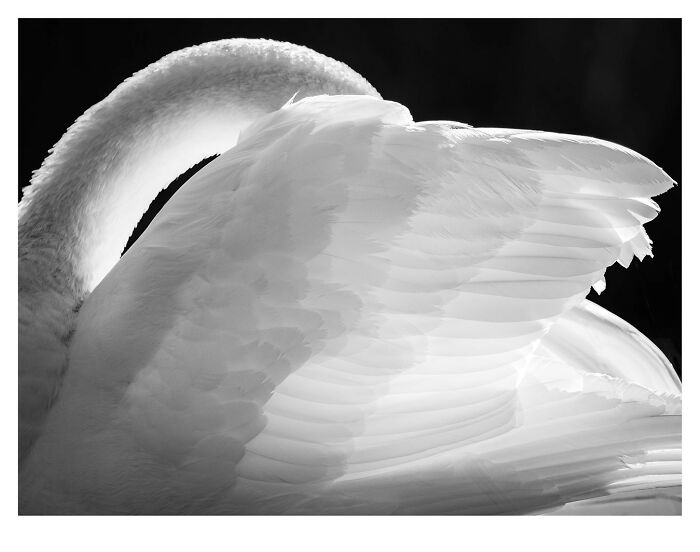 39 Stunning Monochrome Images Honored At The Exposure One Photographer Of The Year Contest