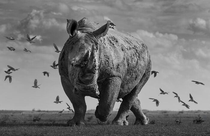 39 Stunning Monochrome Images Honored At The Exposure One Photographer Of The Year Contest