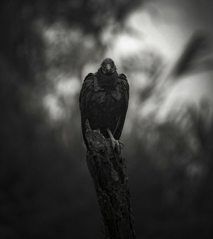 39 Stunning Monochrome Images Honored At The Exposure One Photographer Of The Year Contest