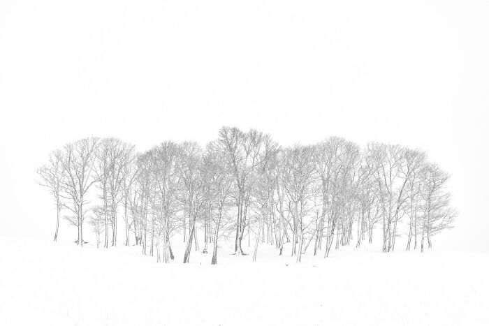 39 Stunning Monochrome Images Honored At The Exposure One Photographer Of The Year Contest