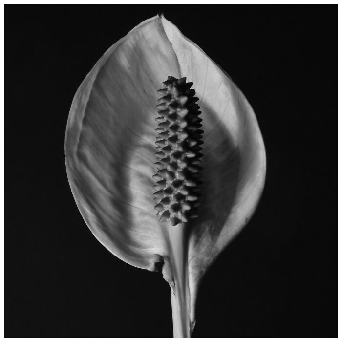 39 Stunning Monochrome Images Honored At The Exposure One Photographer Of The Year Contest