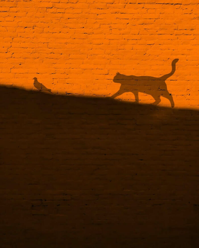 This Instagram Account Proves Photography Is More Than Just A Picture, And These 50 Pics Show Why