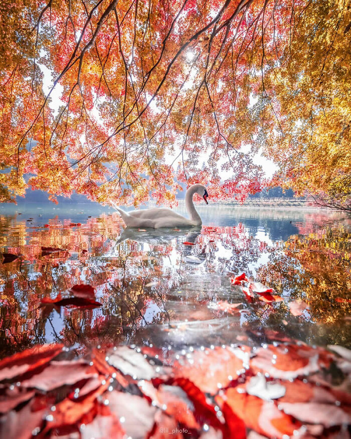 This Instagram Account Proves Photography Is More Than Just A Picture, And These 50 Pics Show Why