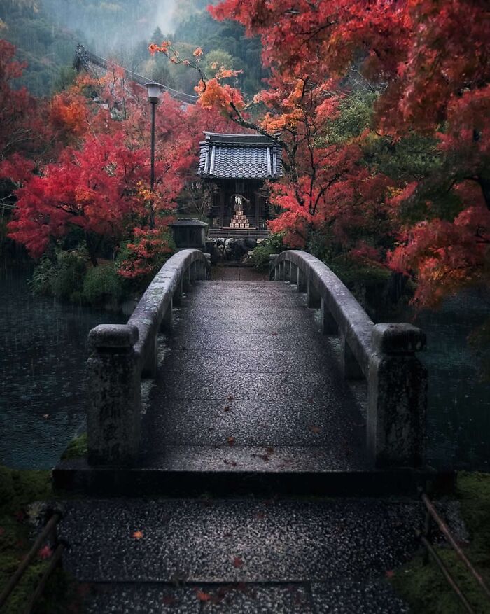This Instagram Account Proves Photography Is More Than Just A Picture, And These 50 Pics Show Why